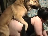 Big ass brunette getting smashed by furry brown dog xxx